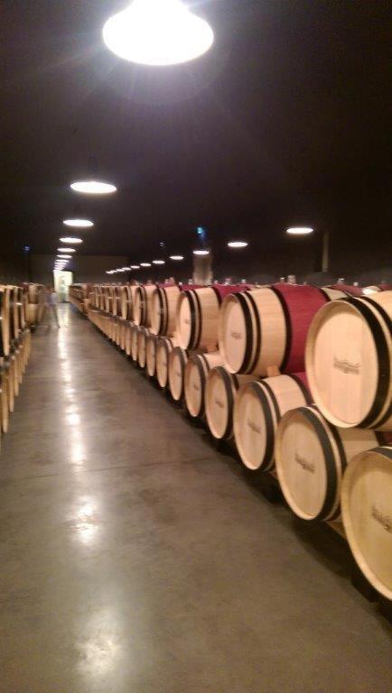 Au Coeur Des Vignobles Bed & Breakfast Saint-Estèphe Dış mekan fotoğraf