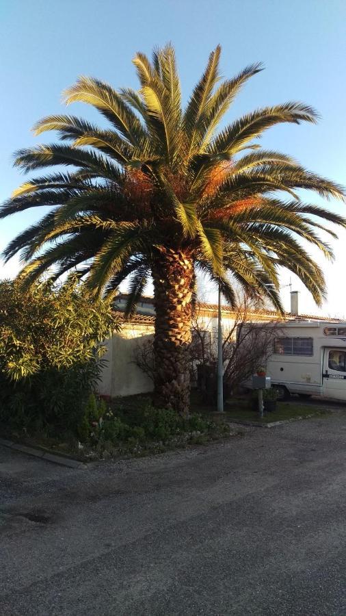 Au Coeur Des Vignobles Bed & Breakfast Saint-Estèphe Dış mekan fotoğraf
