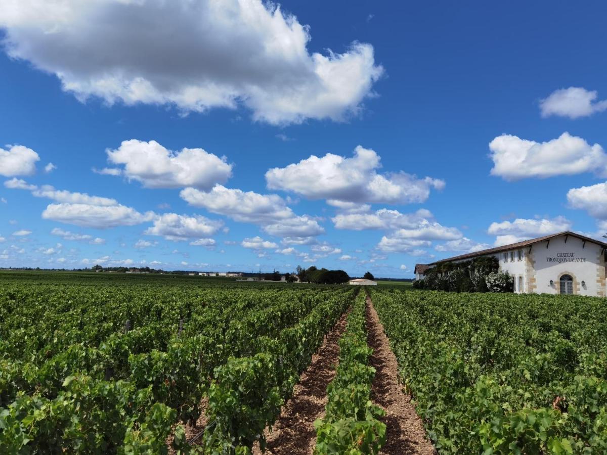 Au Coeur Des Vignobles Bed & Breakfast Saint-Estèphe Dış mekan fotoğraf
